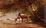 Deer in a Landscape